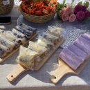 고제초등학교 이미지