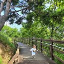 숲속노을로(2) | [가zip]파주 헤이리 노을숲길_아이와함께 걷는 숲길 산책