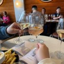 미대농장 | [허니문]멜버른 근교 야라밸리 와이너리투어(드 보톨리, 야라우드, 예링스테이션, 도메인샹동)