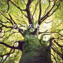 대림12차아파트(1) 이미지