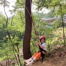 한송이유치원 이미지