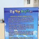 나비그네