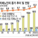 노인성 치매(老人性 癡呆=미치광이 치매) 이미지