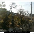 지리산황금농장 이미지