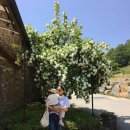 연천비경펜션 이미지