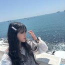 브라운도트 영도대교점 | 부산 2박 3일 1일차 송도 여행 (톤섬, 흰여울마을+족욕카페, 자갈치시장, 브라운 도트 영도대교점)+ 경비