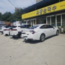 옥동손국수 | 안동 옥동손국수 맛집 전현무 계획, 허영만 백반기행 방송 탄 국수 맛집 후기