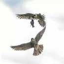 한솔센트럴파크 앞 이미지