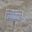 (주)화성 | [수원 여행] 봄 구경 하러 다녀온 '수원 화성행궁'