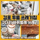 김포 투룸 쓰레기 집 특수 청소 후기 : 구더기, 바퀴벌레, 다량쓰레기, 혼잡한 집의 변화