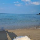 사천견생 네이버블로그