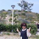 (주)윈윈메인터넌스