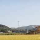 호숫가의 하얀집 이미지