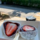 컴포즈커피 군산문화원점 | 2025 남부여행