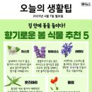 라벤다공인중개사사무소 네이버블로그