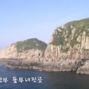 대삼부도