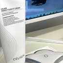 예신 티스토리