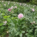 자연과 하루 이미지