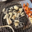 명성소선활어판매장 | 기장맛집 바닷가앞에서 고양이들과함께 장어먹고 온 바다사랑