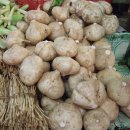 얌(YAM) 이미지