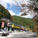 뱀사골산채식당 이미지