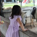 쌍둥이목장 이미지