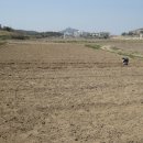 삼호농장3 이미지