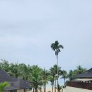 이룸메드 이미지