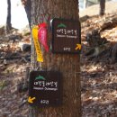 대전둘레산길(8구간) 이미지