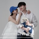 소솜스튜디오 | 애견동반 웨딩촬영 가성비 좋은 '소솜브라이드' 웨딩스튜디오 촬영후기