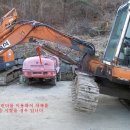 용장농장 이미지