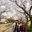 황산1구본동 경로당 | 충주 여행, 충주 벚꽃길 수안보 족욕체험장[충주 온천]