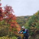 왕방산 단풍 절정 이미지