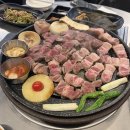 천안자연농원 이미지