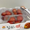 육남매과일맛집 | [충북영동] 원뽀농원_올해 첫 자두 | 까다로운 아들 입맛 저격함