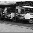 금성버스터미널 이미지