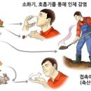 이 가축병원 이미지