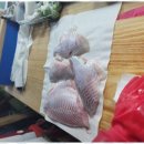 완주횟집 이미지