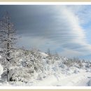 하늘목장 이미지