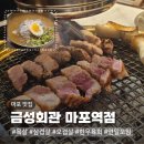 금성회관 마포역점｜마포 공덕 퀄리티 좋은 고깃집, 연말모임 장소 추천