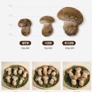 삼방농장 이미지