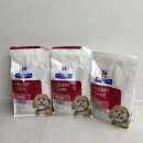 H-1 | 강아지 심장사료 힐스 h/d 1년 후기 / 13살 푸들 심장병 관리 실제 변화