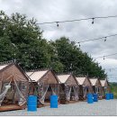 한마음 애견용품 이미지