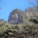 진부령미술관 이미지