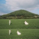 진목2길 | w5. 사진 뚝딱이들의 11월 제주의 오후 스냅, 슬기손길 솔직 후기