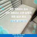 과천 매트리스 청소 아이 방 매트리스 소변 얼룩과 찌든 냄새 제거 래미안 과천 센트럴 스위트