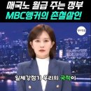 피땀흘려 모은, 국민 혈세로 매국노들에게 월급주는 윤석열 정부, 이미지