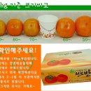 도반농장 이미지