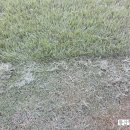 동산이발 - 중구 청구로1길 62 | 동산이발