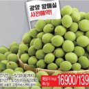 싱싱슈퍼 이미지